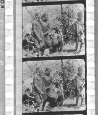 Click for larger image