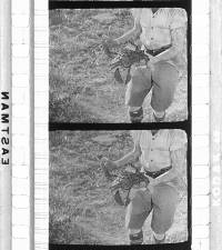 Click for larger image