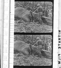 Click for larger image