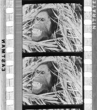 Click for larger image