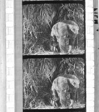 Click for larger image