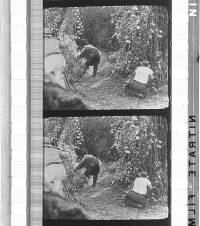 Click for larger image