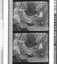 Click for larger image